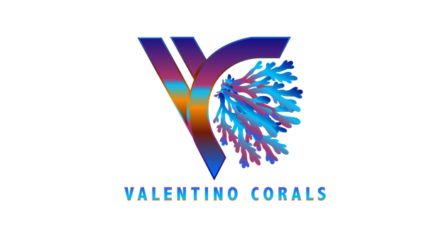 ValentinoCorals